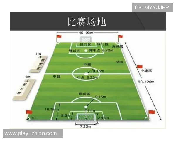 足球场地的构造与功能解析及其在比赛中的重要性